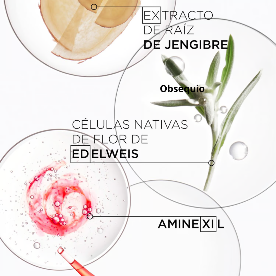 Rutina Fortalecimiento y Anti Caída para Cuero Cabelludo Graso Génesis Kérastase (Shampoo 250ml + Sérum 90ml) - Imagen 3